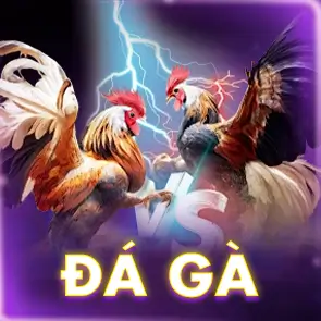đá gà