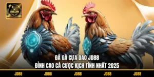 Đá gà cựa dao JD88 - Đỉnh Cao Cá Cược Kịch Tính Nhất 2025