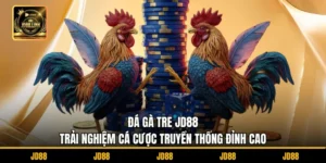 Đá Gà Tre JD88 - Trải Nghiệm Cá Cược Truyền Thống Đỉnh Cao